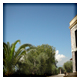 La tenuta