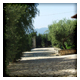 La tenuta